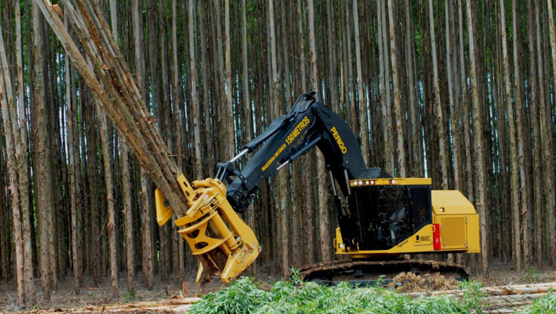 Pengertian Feller Buncher