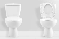 Toto VS American Standard