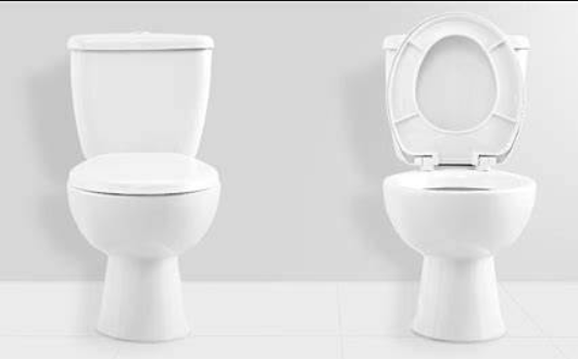 Toto VS American Standard