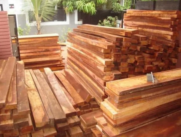 Apa Itu Kayu Usuk? Panduan Lengkap untuk Memahami Jenis Kayu Ini