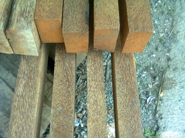 Apa Itu Kayu Usuk? Panduan Lengkap untuk Memahami Jenis Kayu Ini